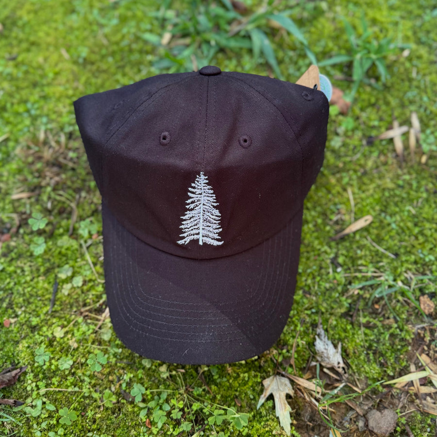 Black Dad Hat