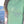 Load image into Gallery viewer, Green T-Shirt, &quot;Cliff&#39;s Scoop Shop&quot;, Clifford the dog&#39;s face in the center

