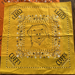 Yellow bandana, "Cliff's Scoop Shop", Clifford the dog's face in the center