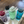 Load image into Gallery viewer, All four from above to show their lids
